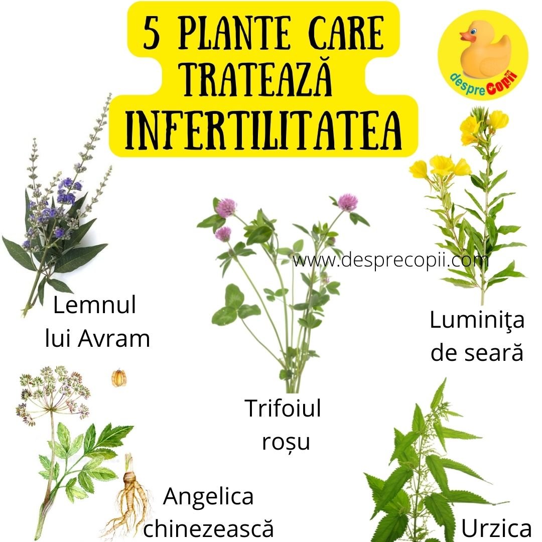 plante infertilitate